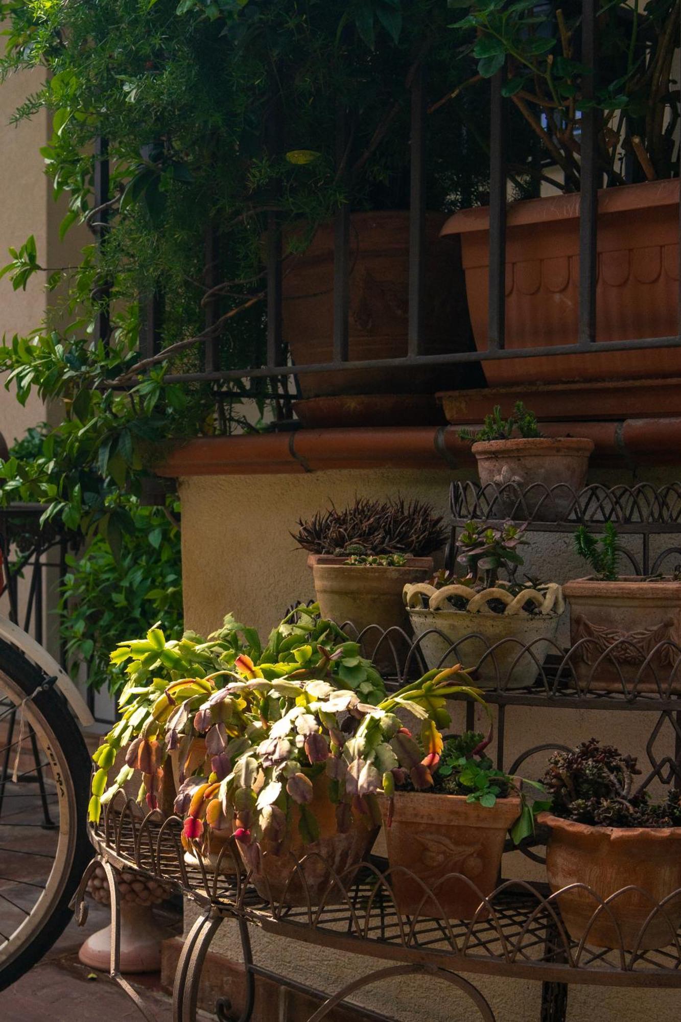 Guest House Antichi Ulivi モンデッロ エクステリア 写真
